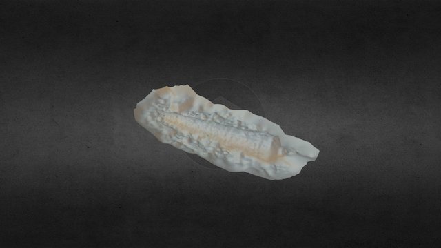 Gun Rock Cannon 6005 3D Model