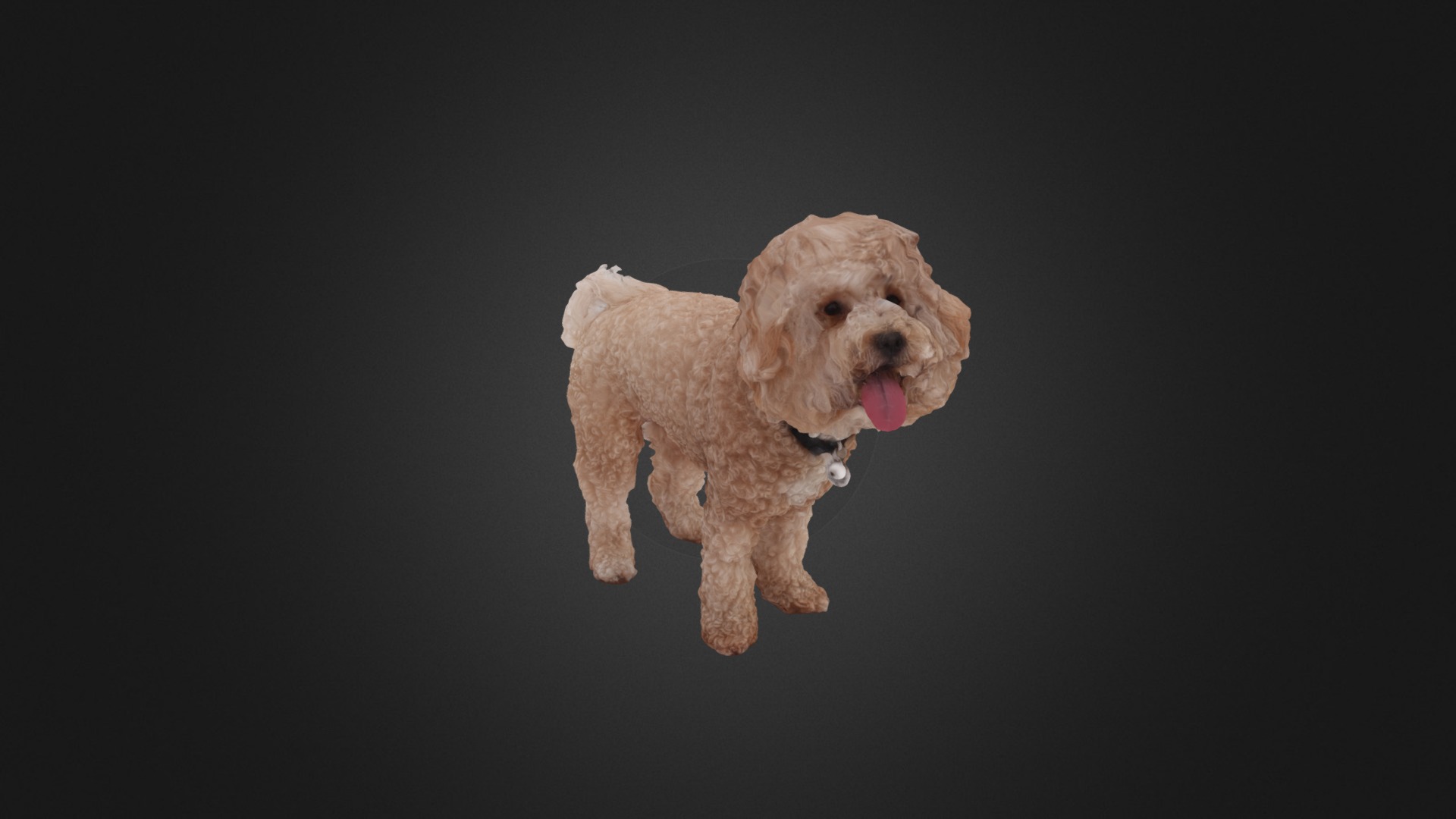 3D model Scanned Poodle Dog - This is a 3D model of the Scanned Poodle Dog. The 3D model is about a dog running on a black background.