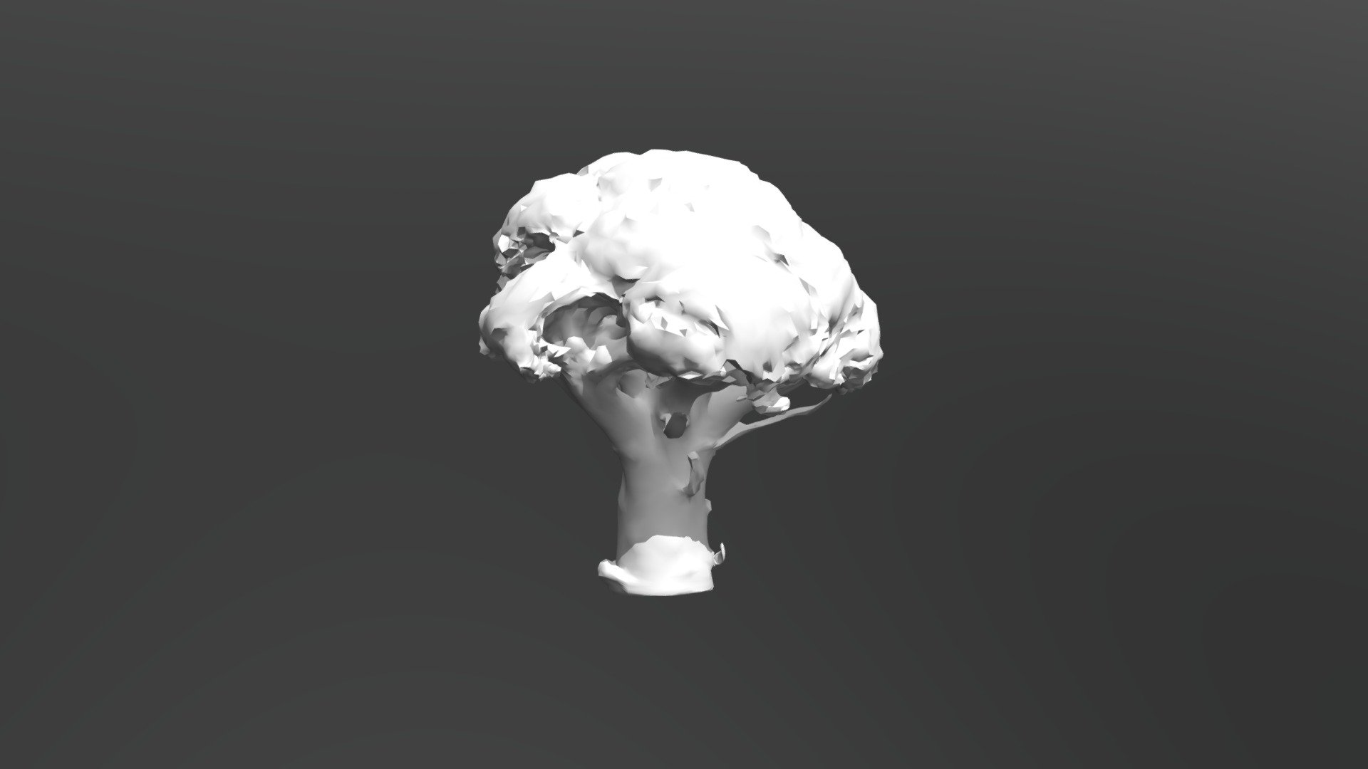 Broccoli - 3D model by assembyl [1f5c719] - Sketchfab