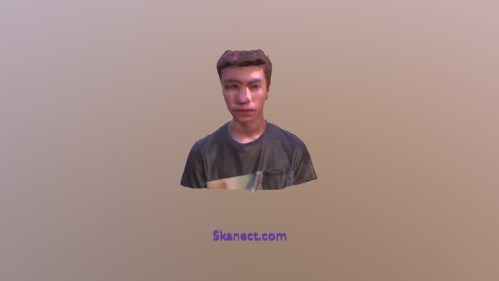 New Skanect Model 3D Model