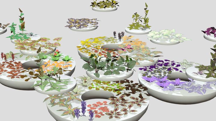 Splash of Color - Unique Photogrammetry Plants 2 3D Model