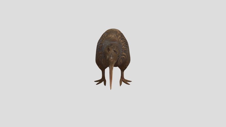 KIWI BIRD 3D Model