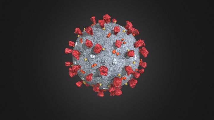 Coronavirus SARS-CoV-2 3D Model