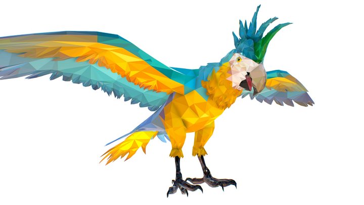 Low Poly Art Blue Parrot Bird 3D Model