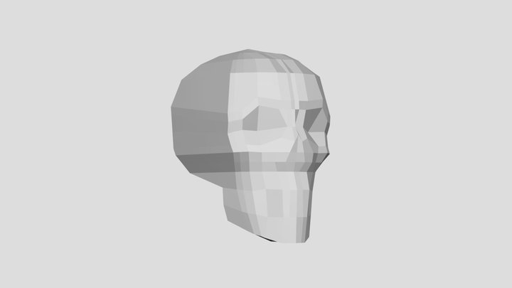 Skull Lowpoly 3D Model