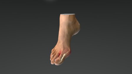Bad Foot 3D Model