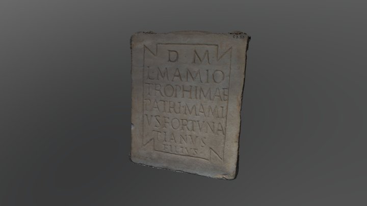 Number 12 3D Model