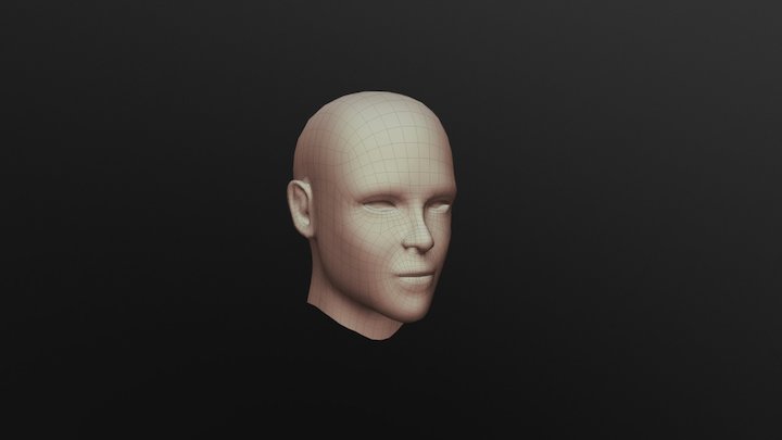 PIMP Head Topology 3D Model