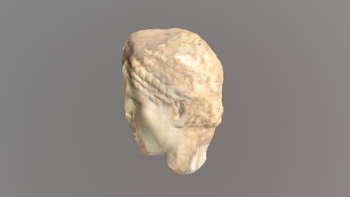 Escultura de cabeza de Diana 3D Model