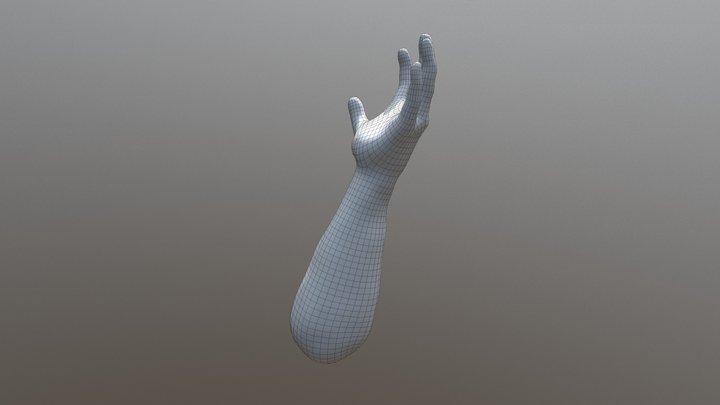 human hand low poly for FPS 3D Model