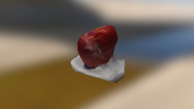 Untitled 3D Model