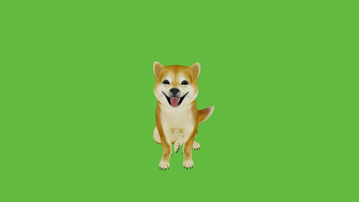 Studio Feisty Doge 3D Model