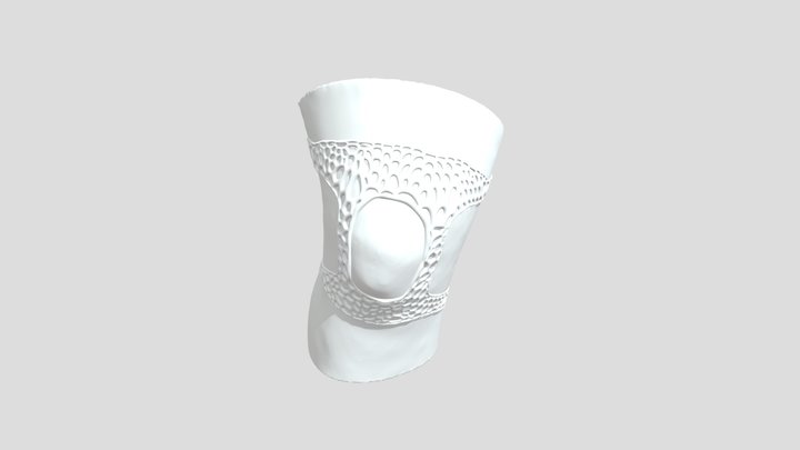 Knee Brace 3D Model