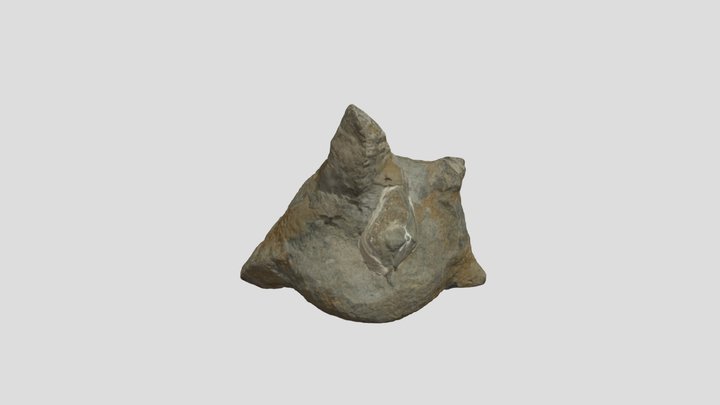 Glendonite Concretion 3D Model