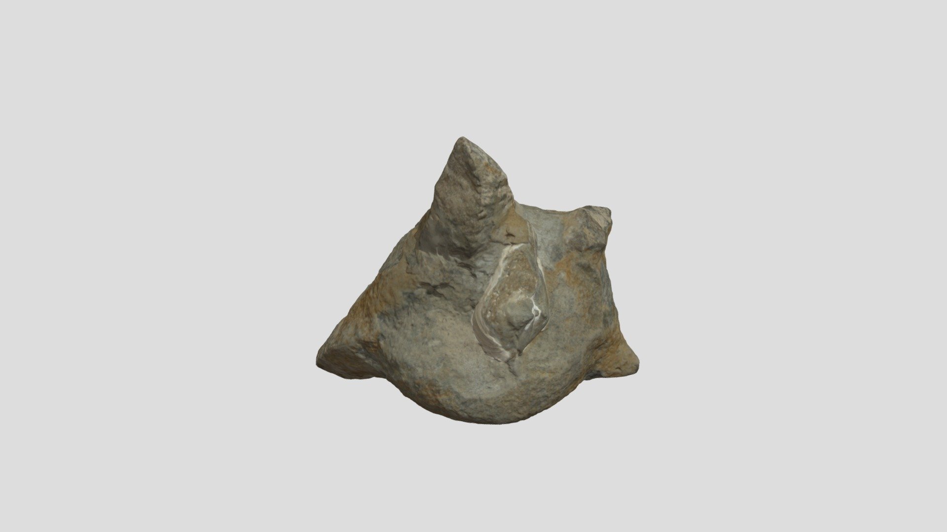 Glendonite Concretion