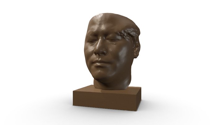 Stan face 3D Model