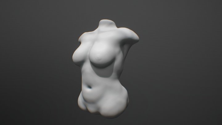 Female torso test 3D Model