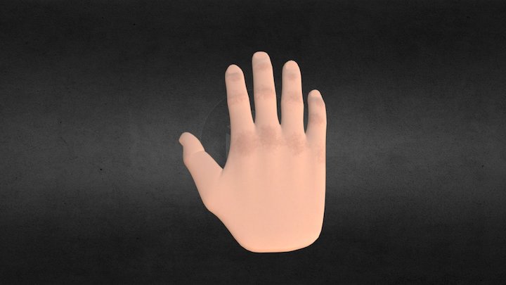 Hand Model 3D Model