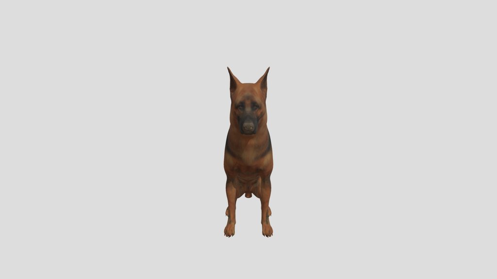 German Shepherd Dog
