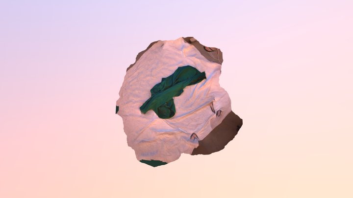 1 3D Model
