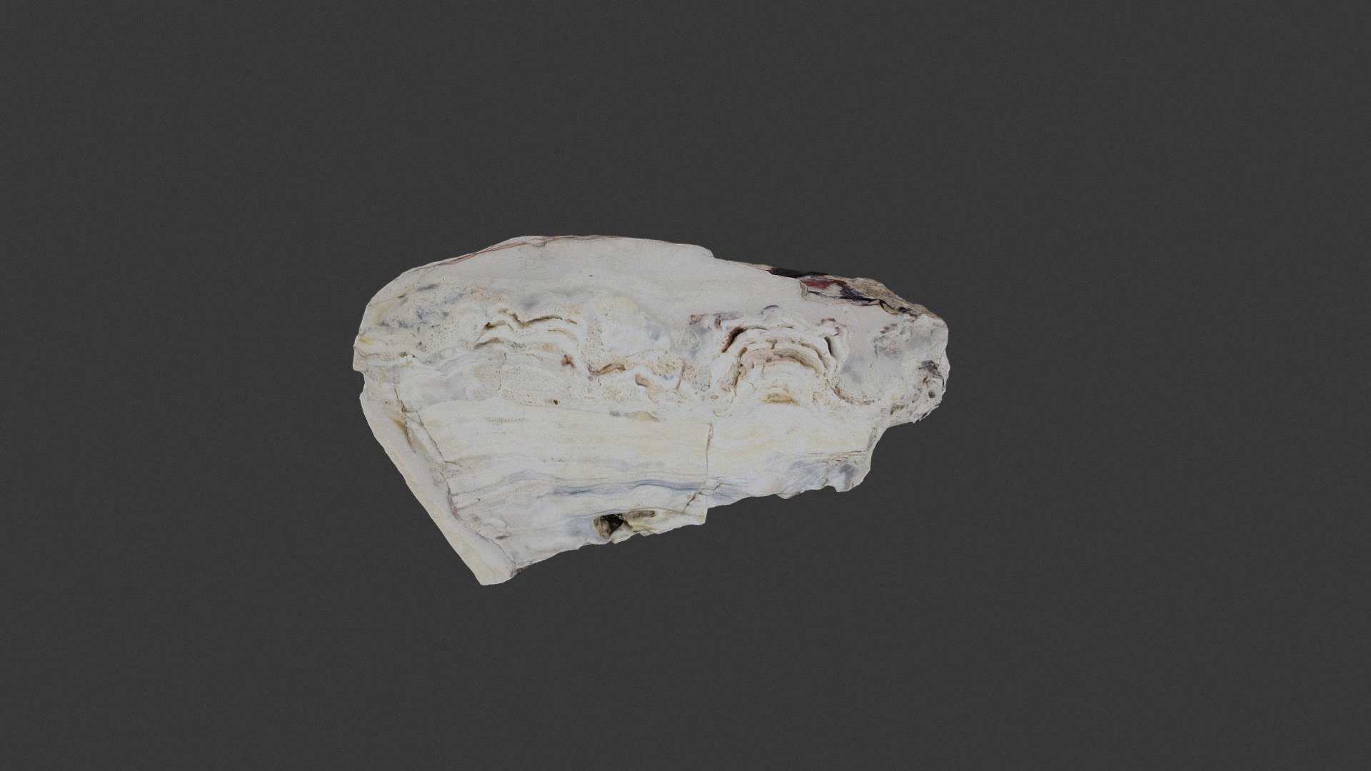 Sample OS 3D Model By Dr Giles Ostermeijer GilesO 1f9f358 