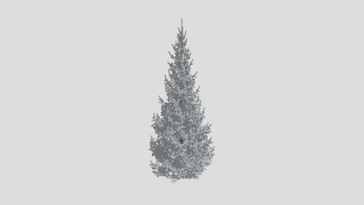 Norway Spruce Picea Abies 7 7m – Modello 3D gratuito STL