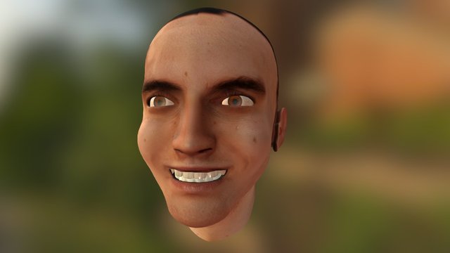 Realistic Face Model 3D Model