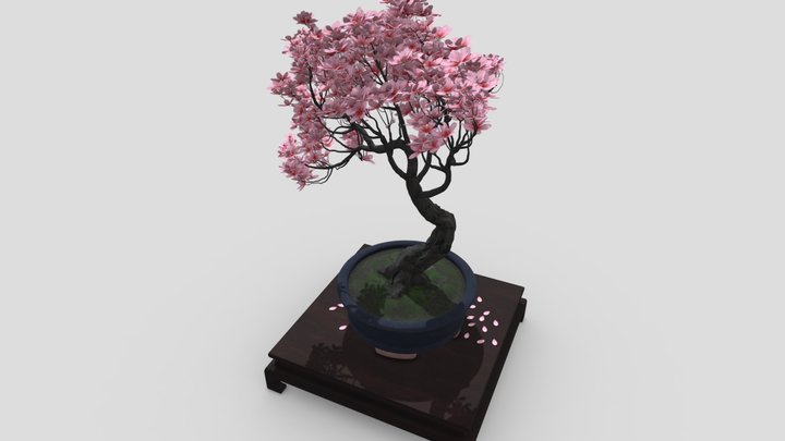 Bonsai – Kostenloses 3D-Modell STL