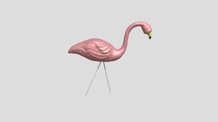 Flamingo 3D Model