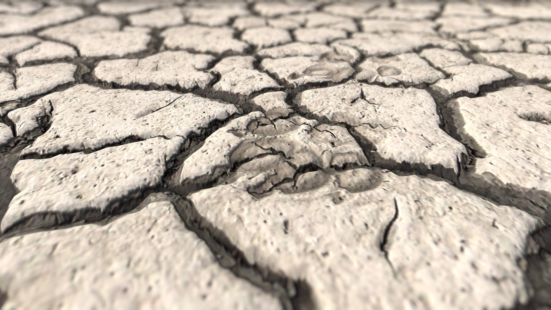 Animal footprints dry cracked soil - texture