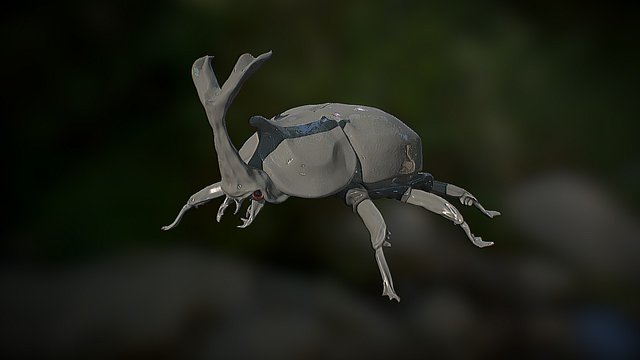 Rhino Bettle 3D Model