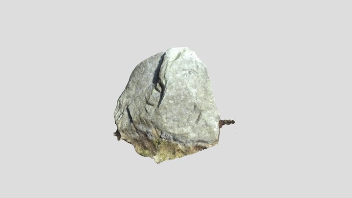 Bwlch Y Ddeufaen Small Standing Stone 3D Model