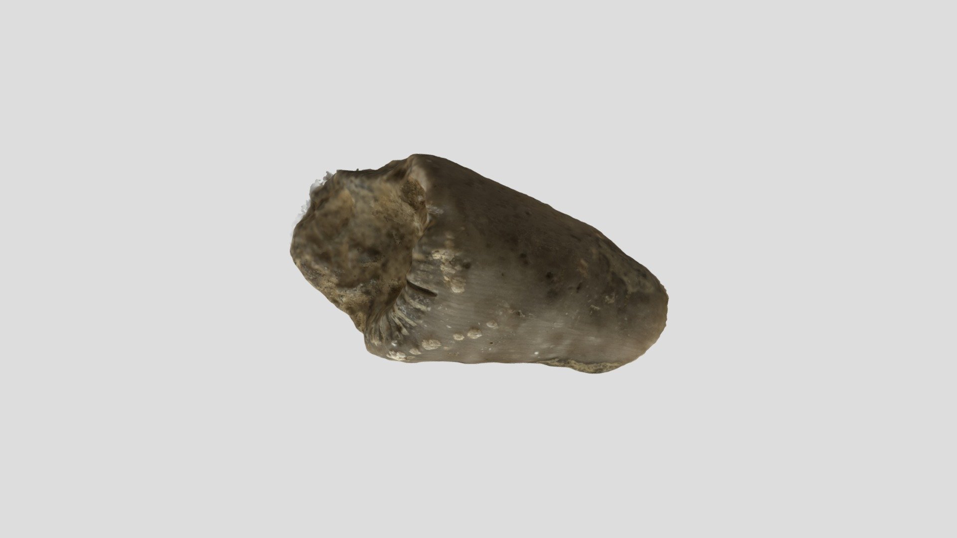 GEOL110 Lab Test Sample 63 — Sketchfab embed 3D viewer