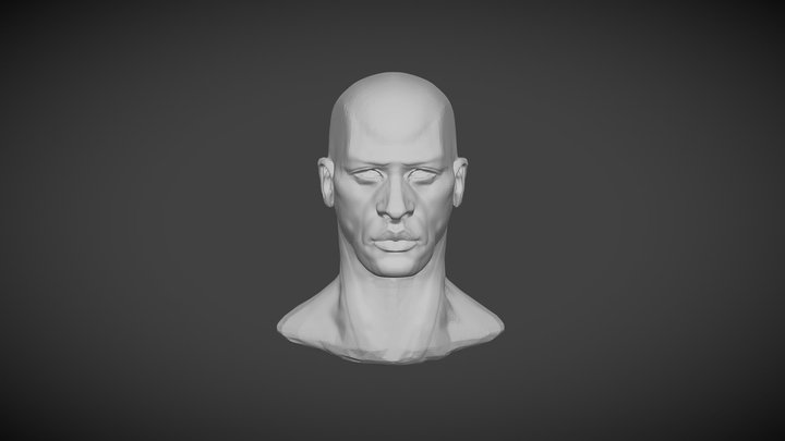 Head Exercise 3D Model