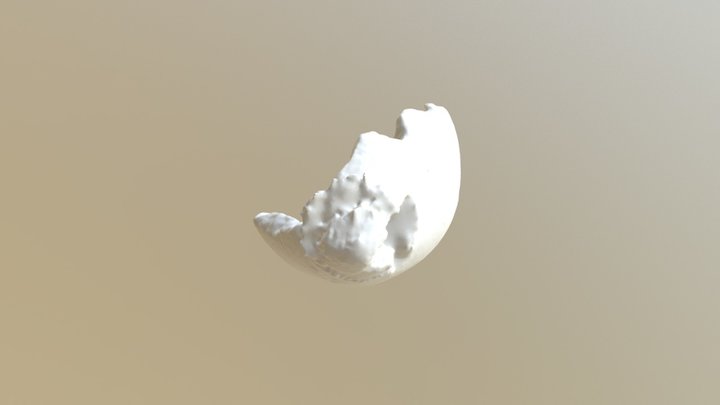 Hermitage's artifact 3D Model