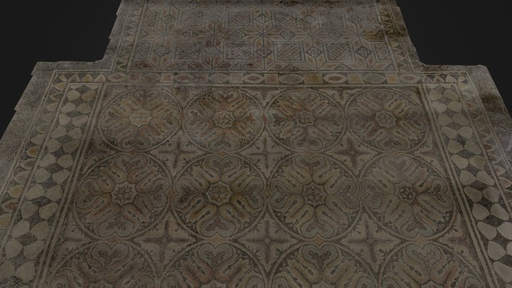 Asciano (SI). Pavimento a mosaico, IV sec. d.C. 3D Model