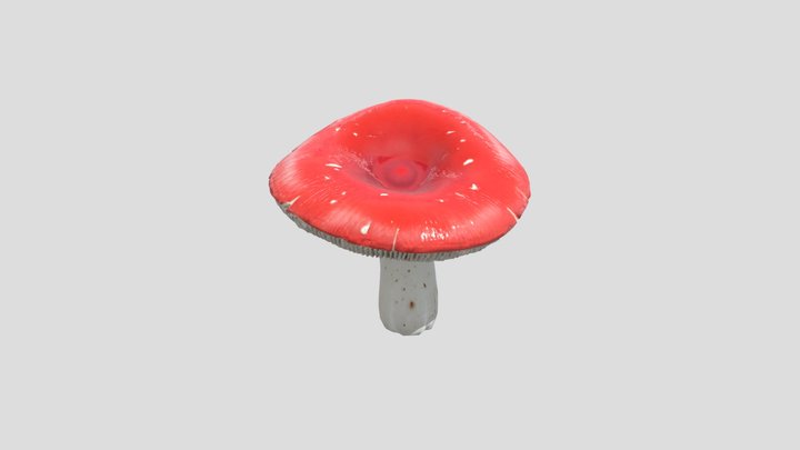 Russula (brittlegill) mushroom 3D Model