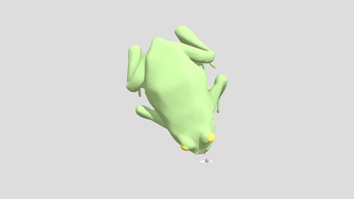Better Frog 3D Model