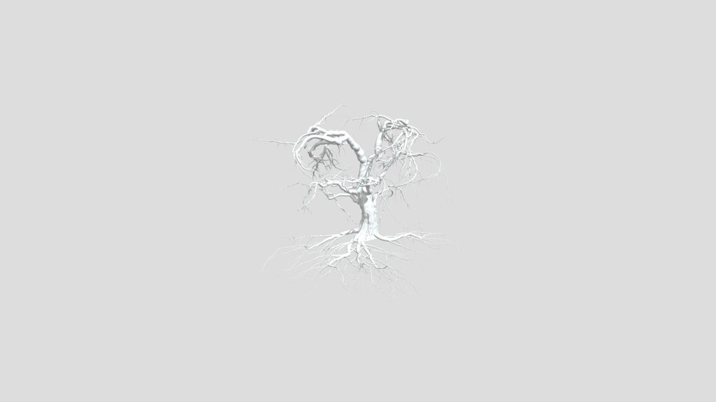 Sj Dying Tree With Branch Details