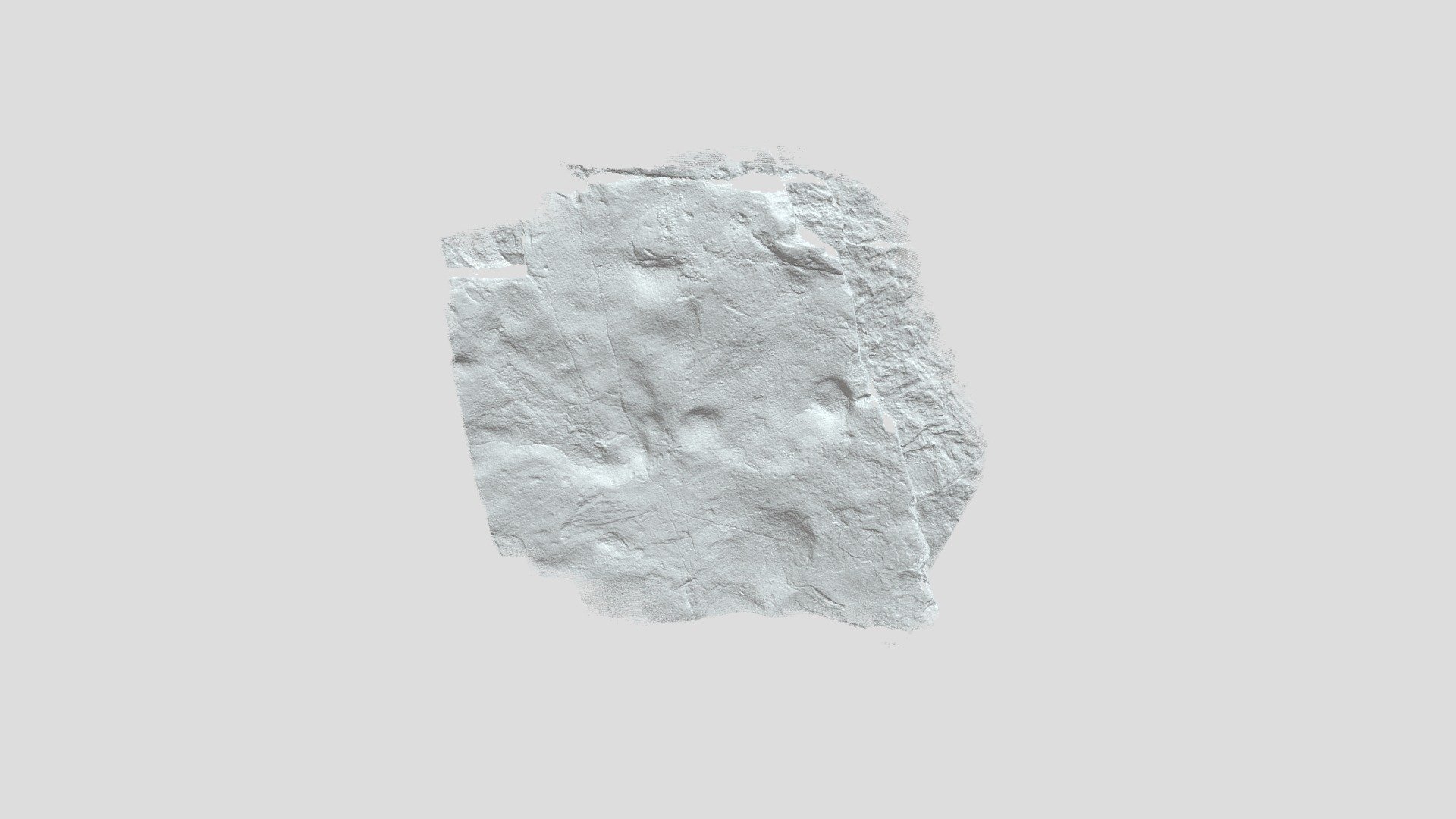 P. maxima footprints from K10 quadrate