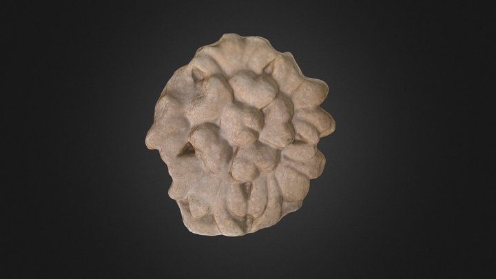 FLOR DE PIEDRA 3D Model