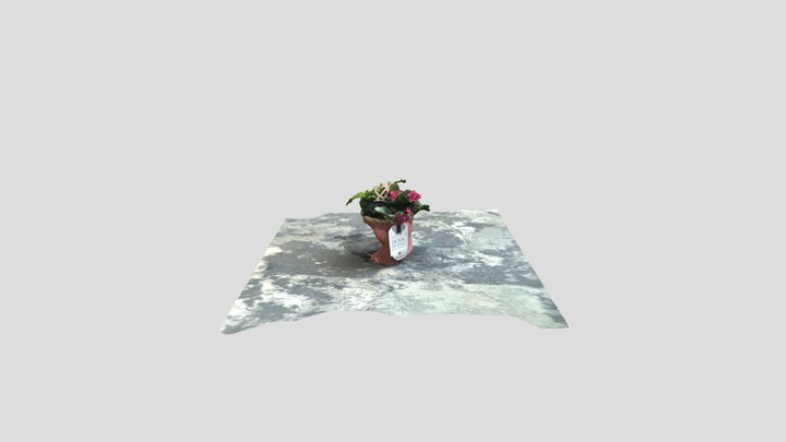 Flower 3D Model