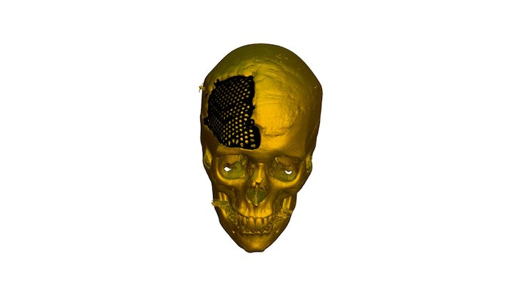 Prova5 3D Model