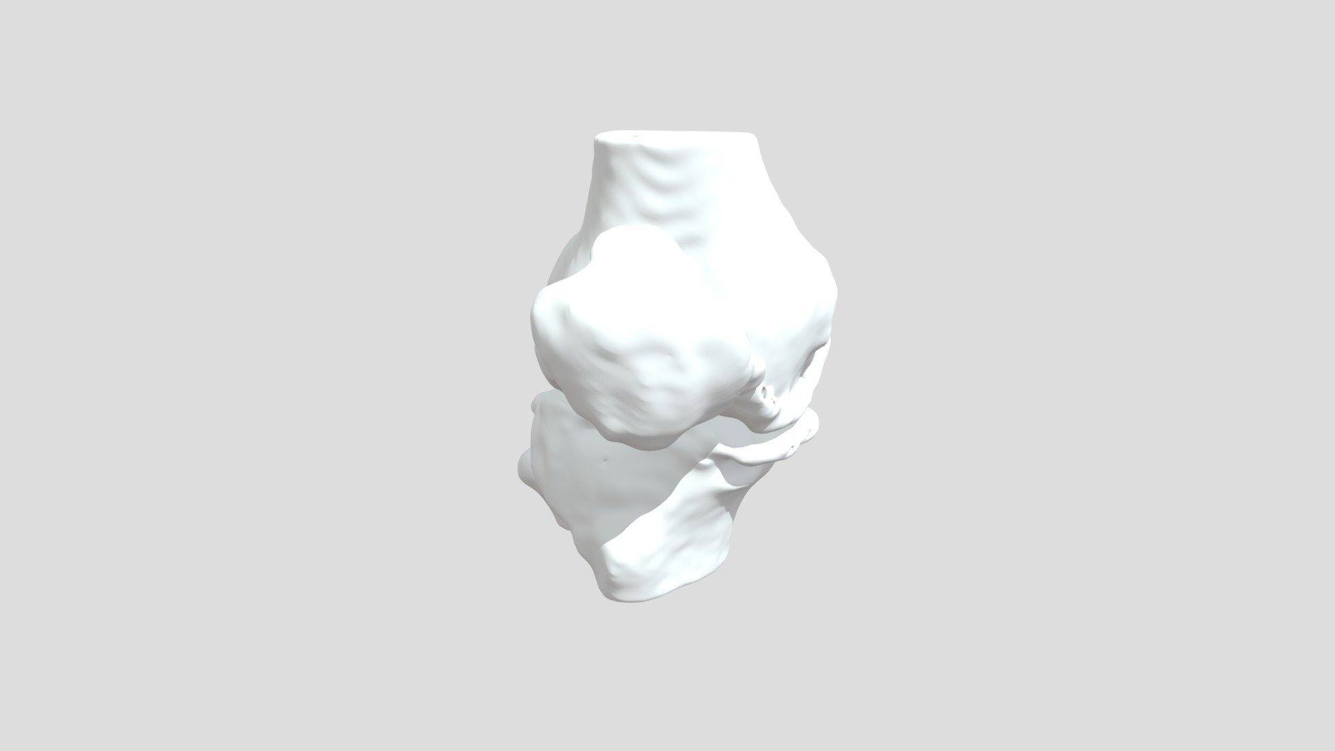 Segmentation Segment Rtbone