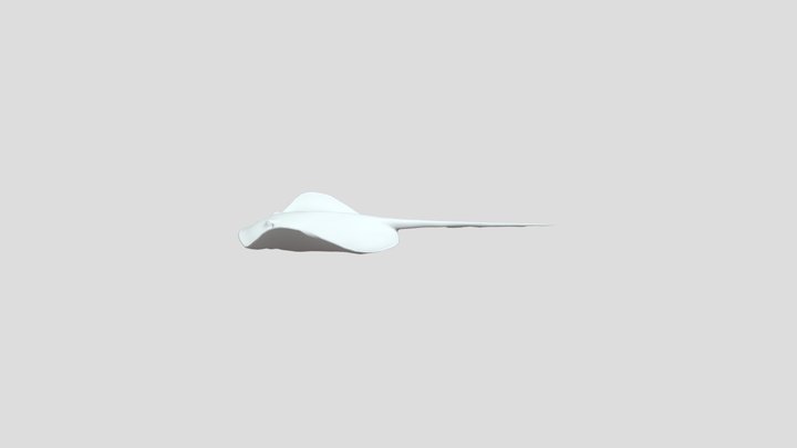 Stingray 3D Model