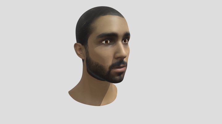 head model customized 3D Model