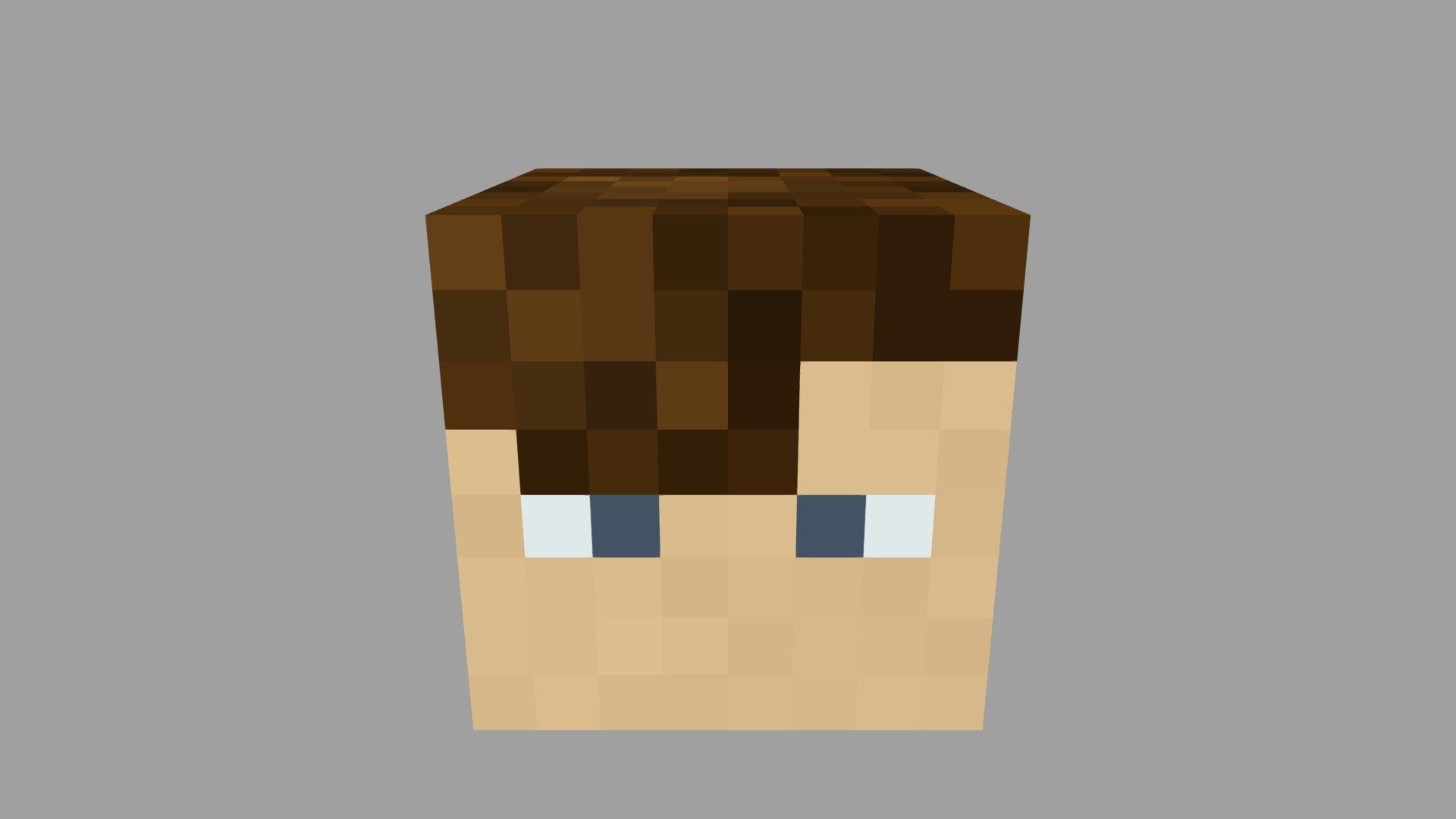 Head Portrait