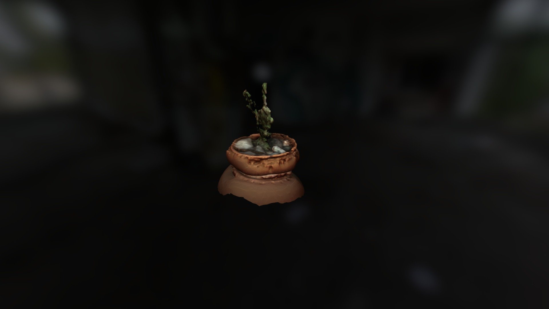 Cactus