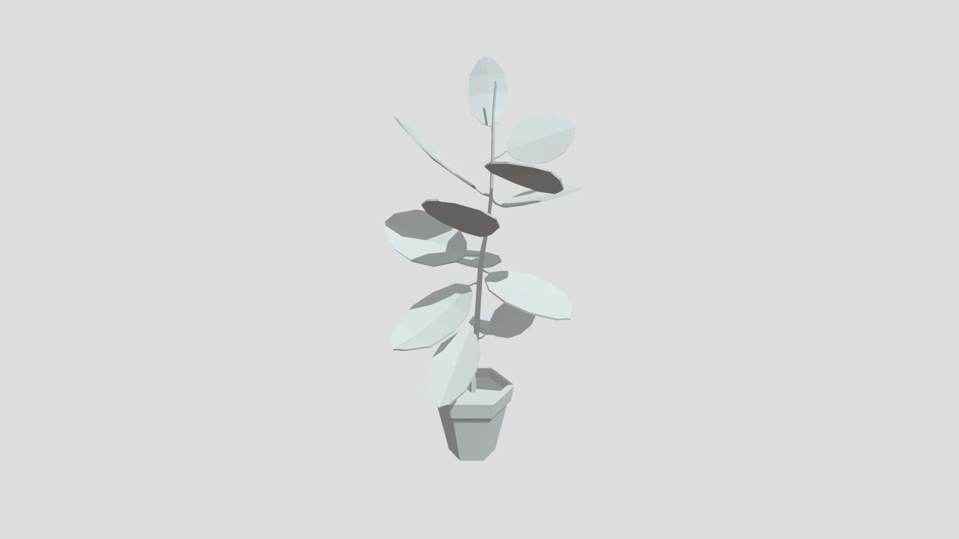 Rubber fig potted plant from Poly by Google