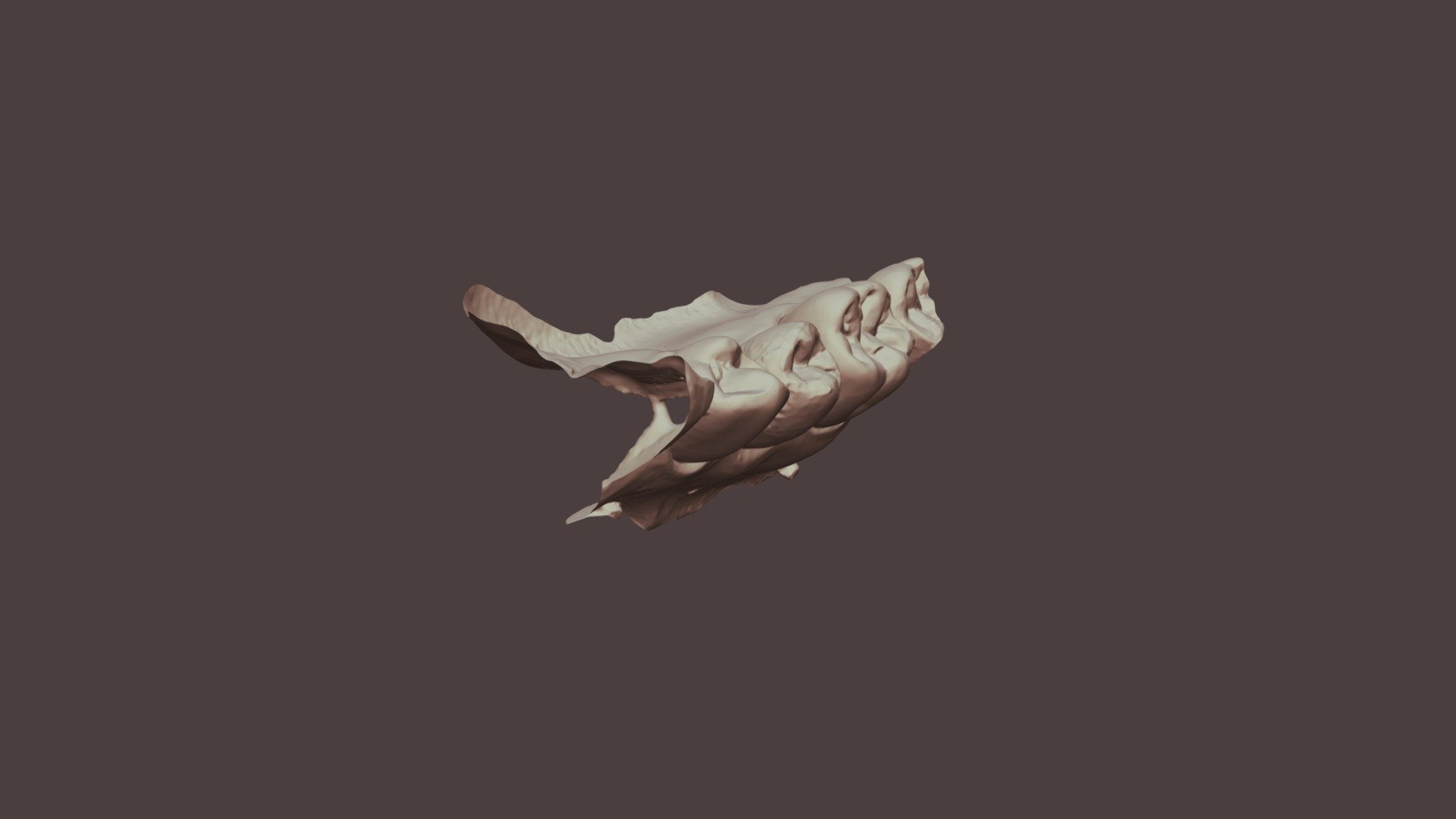 2019-10-08 C8-1 ADA Upper Jaw